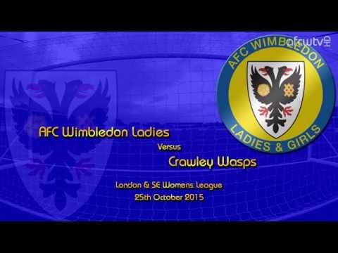 AFC Wimbledon Ladies v Crawley Wasps