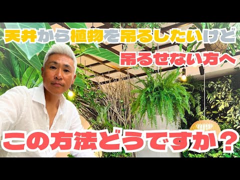植物を移動する 移動する適切な時期を選択する