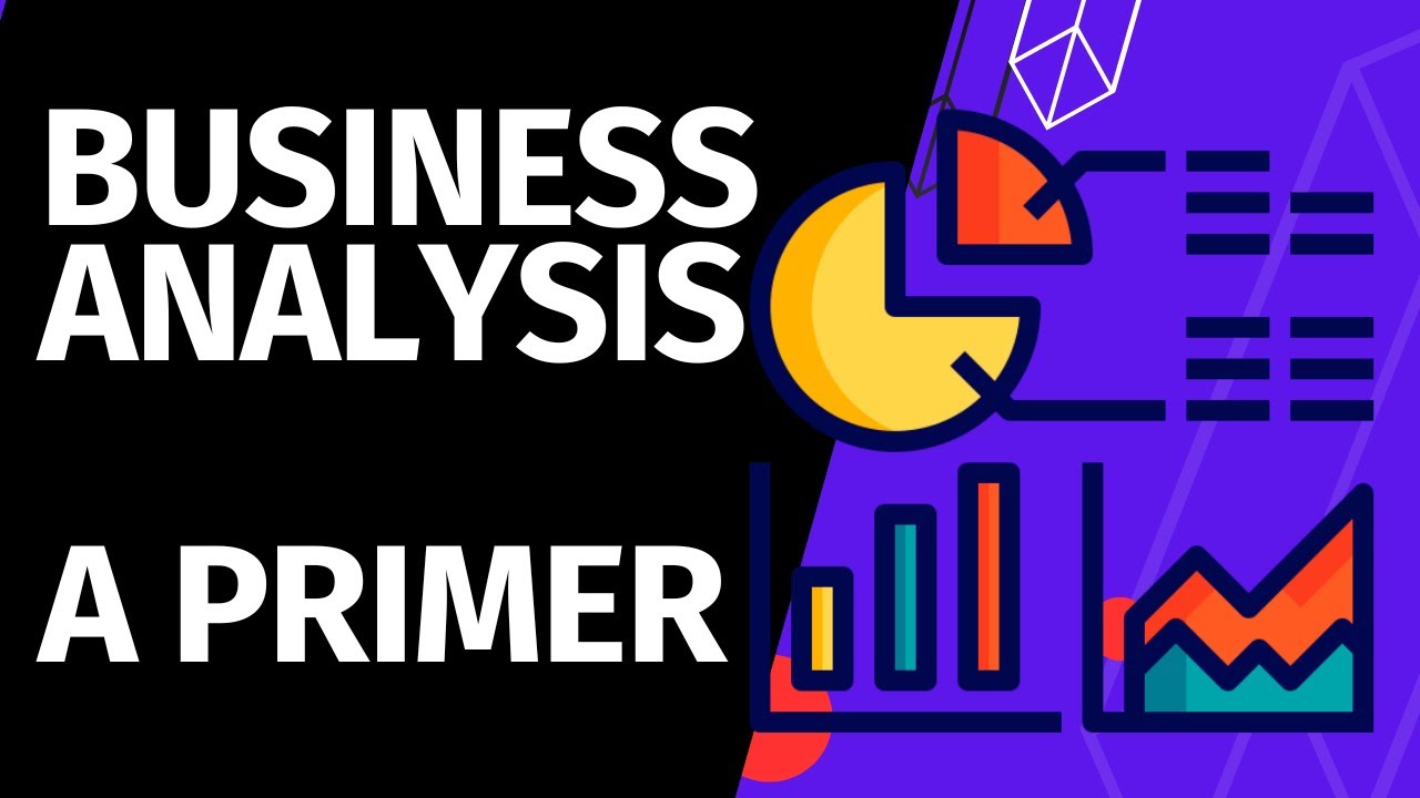 A Business Analysis Primer: An Essential Guide to Business Analysis