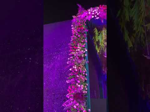 Indian wedding flower decor #wedding #sangeet #weddingceremony #light #sangeetnight #bridegroom ￼