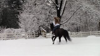 ~•~ It's Too Cold ~•~