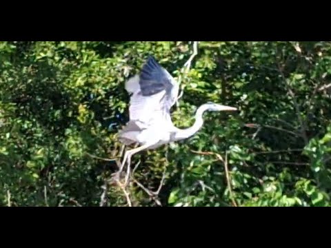 1 hora en kayak por el arroyo negro