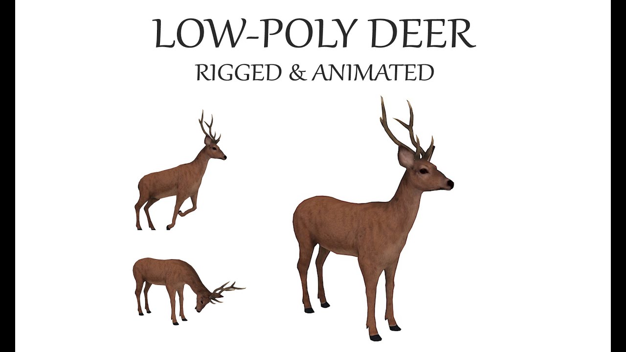 Animated deer stag elk 3D Model