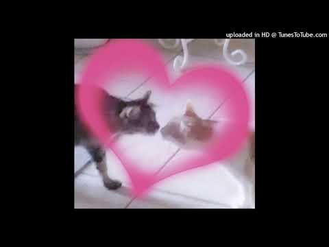 ppgcasper + steven moses + coldhart type beat [prod. evvil x 1sonvta]