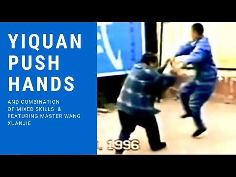 Yiquan Push Hands & Mixed Skills #yiquan #dachengquan #wangxuanjie