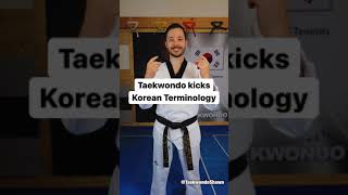 Taekwondo Terminology: Kicks🇰🇷 #shorts