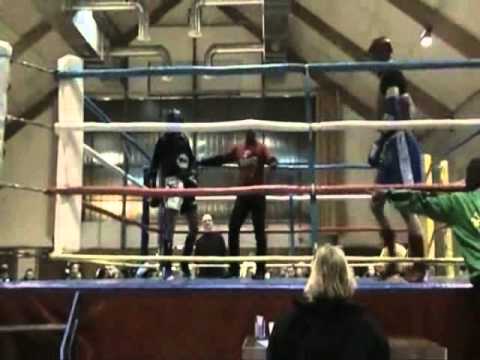 cobra thai boxing
