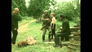 Laanetaguse suvi (1980) - Eesti lastefilmide sari