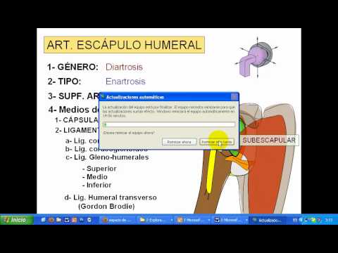 Apéndices cintura dolor y qué hacer Dolor de cuello por la espalda y la cabeza como un regalo