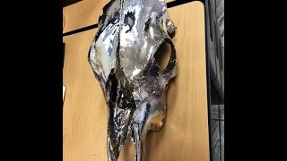 Spray Chrome Cow Skull