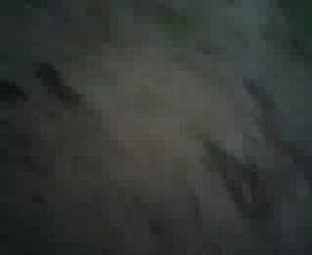 Voetballen bij vosseveld