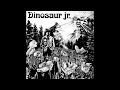 Dinosaur (Jr.) - Dinosaur (1985) (Private Remaster) - 04 Does It Float