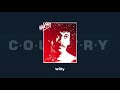 Iwan Fals Willy Official Audio