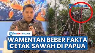 Wamentan Sudaryono Tanggapi Viralnya Film Pesta Babi, Tegaskan Cetak Sawah di Papua Butuh Waktu