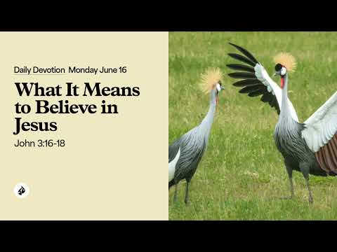What It Means to Believe in Jesus – Daily Devotional
