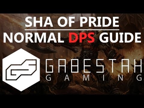 Sha of Pride Normal DPS Guide [VOX]