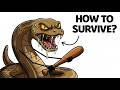 You're Born an Inland Taipan - This Is Your Life