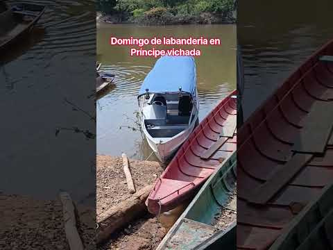domingo de lavandería en principe vichada #pesca #campo #vichada #cumaribo #rio