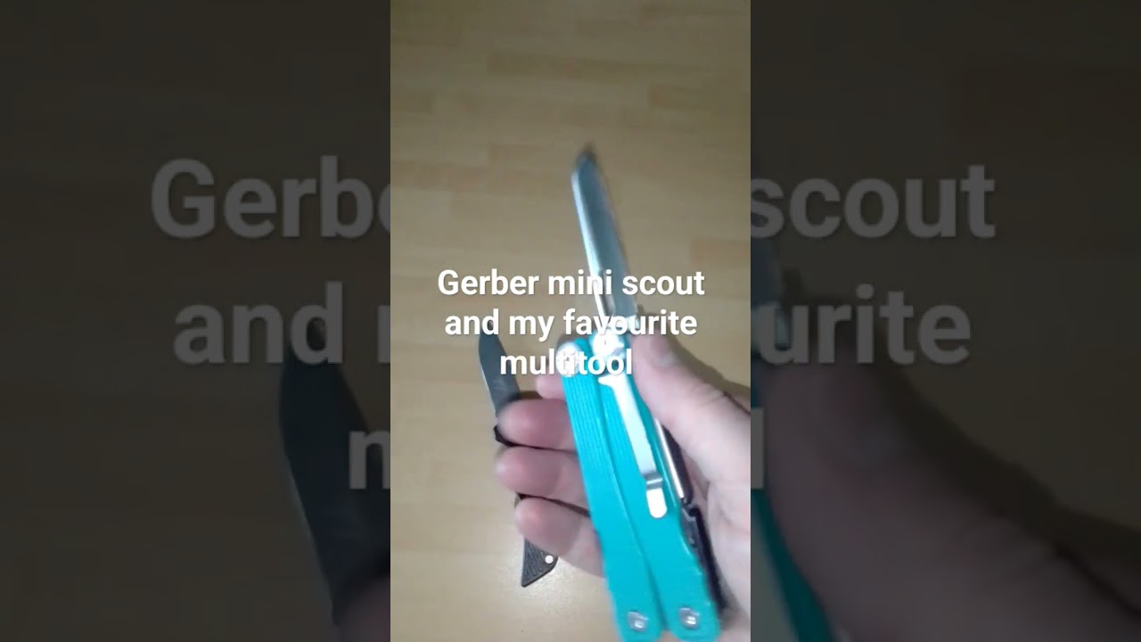 Today's #everydaycarry is #Gerber #beargrylls Mini Scout and my favourite folding pliers #multitool