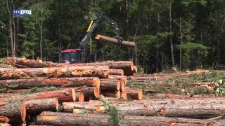 preview picture of video 'Illegale bomenkap op landgoed De Eese bij Steenwijk'