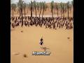 Hazrat Abbas Ibn Ali History Shorts
