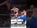 Wwe 1993