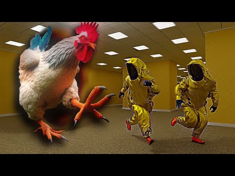 NUNCA MEXA COM UMA GALINHA NAS BACKROOMS