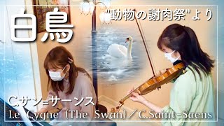 Download lagu 白鳥 バイオリン ピアノ【C.Saint-Saëns Le carnaval des animaux: XIII. Le cygne】サン=サーンス 動物の謝肉祭より mp3 Download lagu 白鳥 バイオリン ピアノ【C.Saint-Saëns Le carnaval des animaux: XIII. Le cygne】サン=サーンス 動物の謝肉祭より mp3