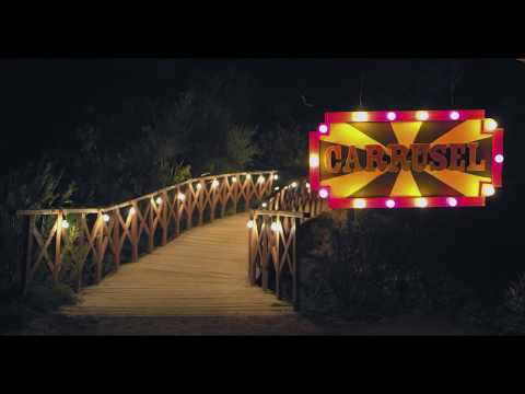 Efecto Mandarina - Carrusel