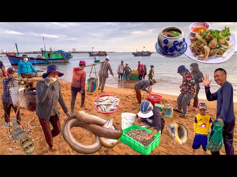 Gặp Cá Lị Cửa Đà Rằng Tuy Hoà | Mũi Đại Lãnh Chữ S Việt Nam