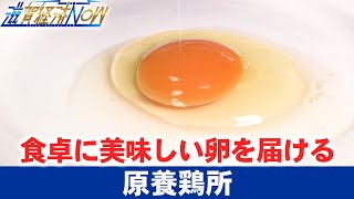 こだわりの卵！地域の食卓に美味しい卵を届ける多賀町の『原養鶏所』【滋賀経済NOW】2022年10月1日放送