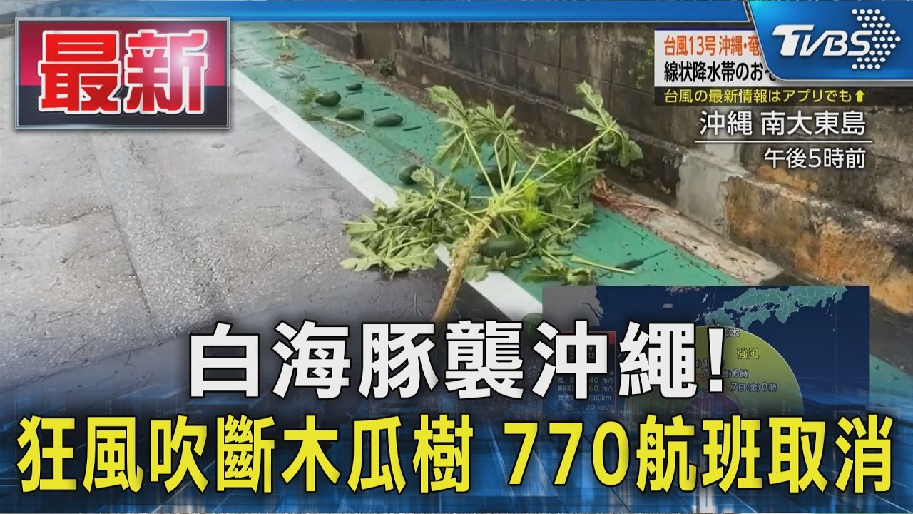 白海豚強襲沖繩! 狂風攔腰折斷木瓜樹 「770航班取消」亂盂蘭盆返鄉|TVBS新聞 @TVBSNEWS01