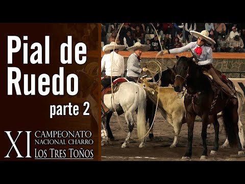 PIAL DE RUEDO part 2 - XI Los Tres Toños Championship 2019