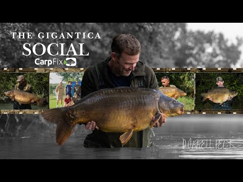 The Gigantica Social, Darrell Peck