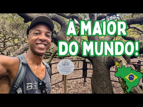 The TMax Polyglot and 2 more