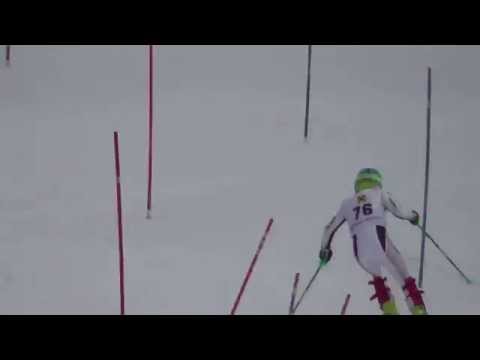 Raiffeisen-Liebmarkt Sport 2000-Autohaus Felber-Fischer Jogllandcup Slalom Wenigzell 2015