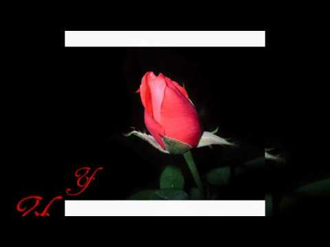 Happy Birthday Swati