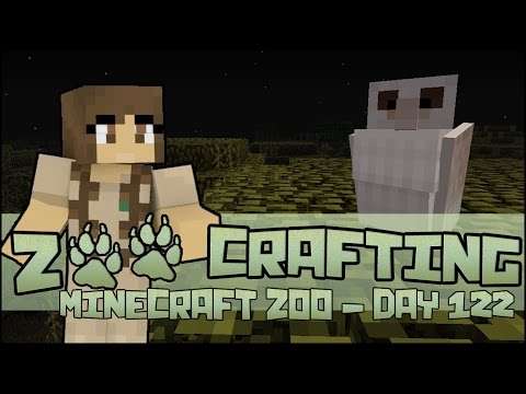 Observant Owls! 🐘 Zoo Crafting: Season 2 - Episode #122