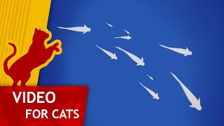 😻 Cat Games - 🐟 Silhouettes of Fish (Video for Cats to watch) 1 hour