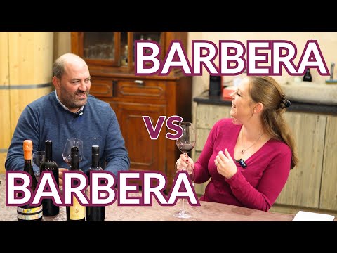 Tasting 2 Classic Italian BARBERA WINES Side by Side with the Winemaker