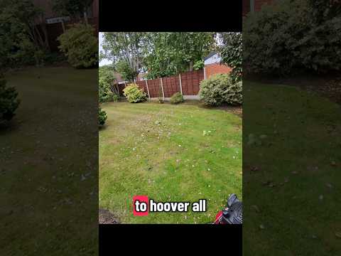 hoover it up #gardentok #gardening
