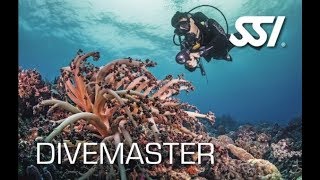 Divemaster Intro