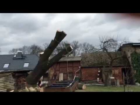 Bades Baumdienst GbR YouTube-Vdeominiatur 1