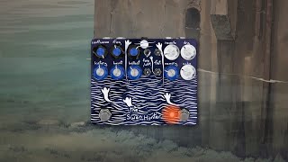 Video thumbnail for Champion Leccy The Swan Hunter Demo by Megan L