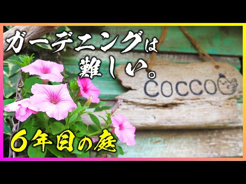 園芸 庭にある鶏小屋
