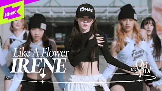 Download lagu IRENE 아이린 'Like A Flower' | On the Spot | 온더스팟 mp3 Download lagu IRENE 아이린 'Like A Flower' | On the Spot | 온더스팟 mp3