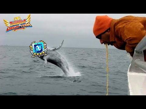 PvP Hunters / Cazadores de PvP