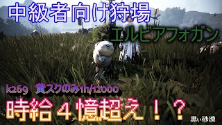 【黒い砂漠】k269 中級者狩場！沼フォガン生息地　1h/12000　黄スクロ有　精霊アグリス無し