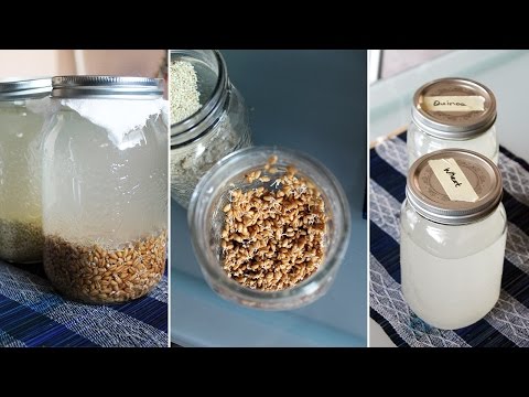 download lagu mp3 mp4 How Much Rejuvelac Should I Drink Per Day, download lagu How Much Rejuvelac Should I Drink Per Day gratis, unduh video klip How Much Rejuvelac Should I Drink Per Day