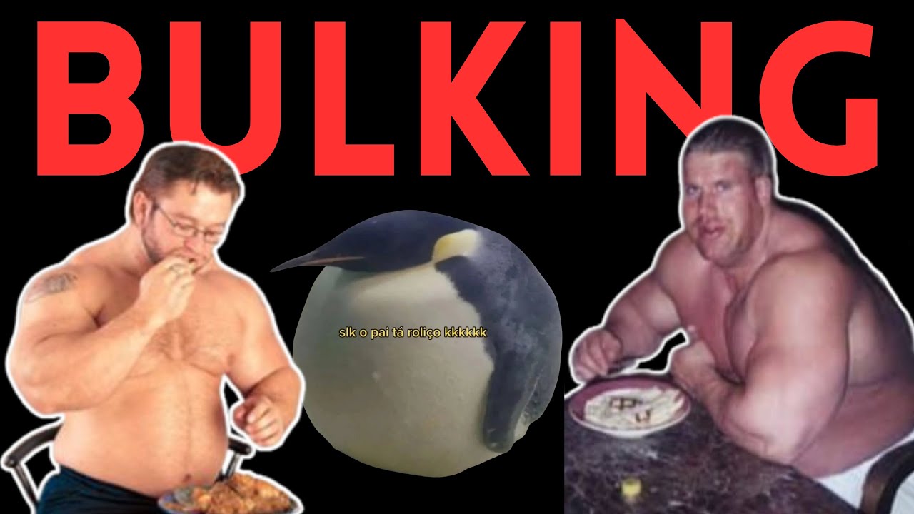 NÃO FAÇA BULKING (sem assistir esse vídeo antes)
